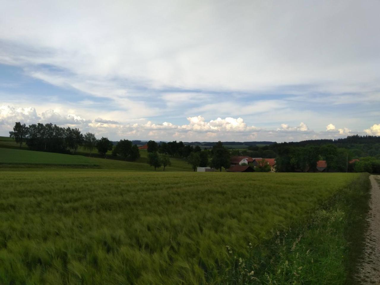 Gasthaus Schachinger Tumeltsham Esterno foto